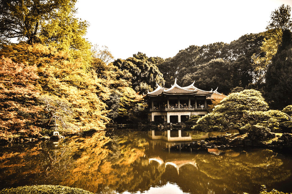 Japan's Shinjuku Gyoen National Garden